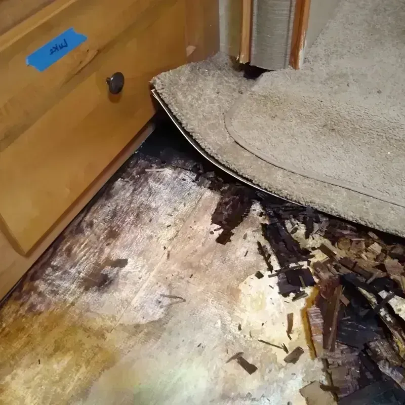 Wood Floor Water Damage in Sunnyside, GA